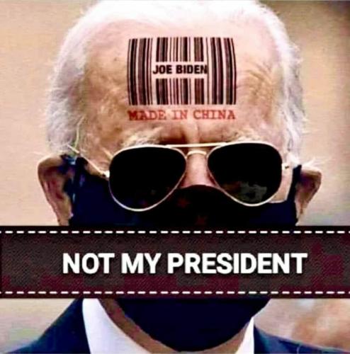 lQ8nuXgtPtnpSSrLlRuM_20_bb034b8efd6eeaff6403bf445f29820a_image_original