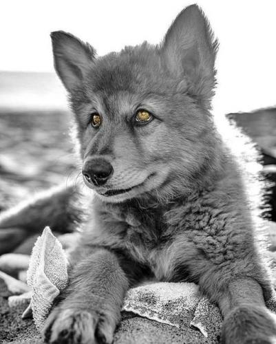 133432921_226641162363251_2690492115392158394_n