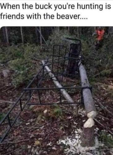 18:46:10 GMT-0500 (EST).image