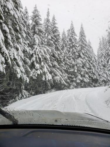 13:00:22 GMT-0800 (PST)