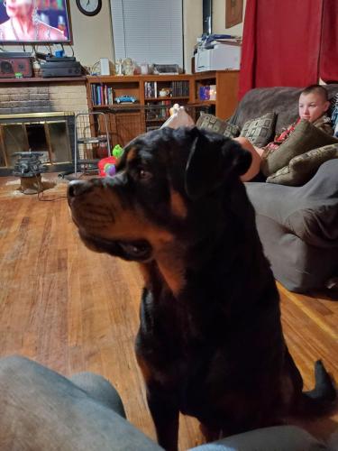 17:00:48 GMT-0800 (PST)