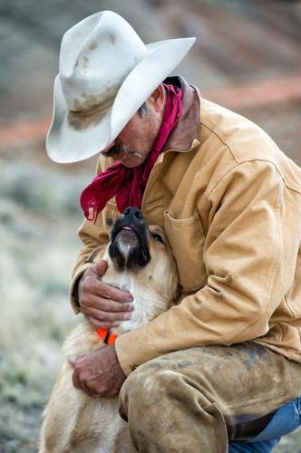 e928f74176ec54c1528022ae716bddfa