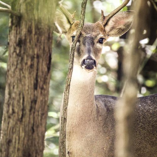 16:48:50 GMT-0600 (CST)