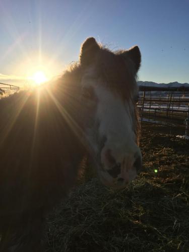 09:21:26 GMT-0800 (PST).image