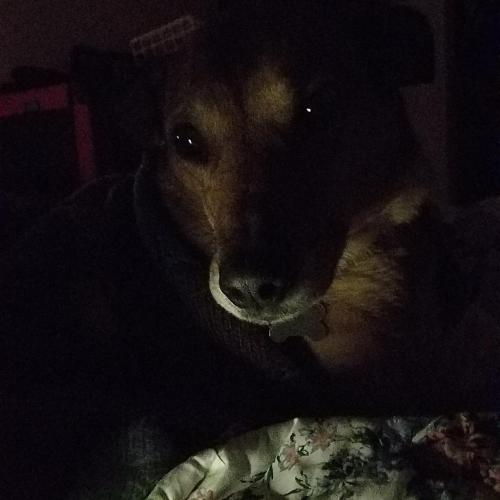 IMG_20171102_231535_799