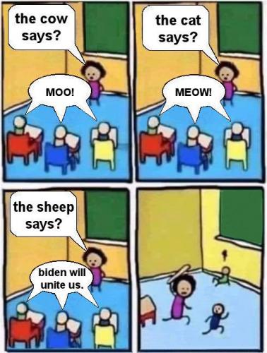 bullshit08