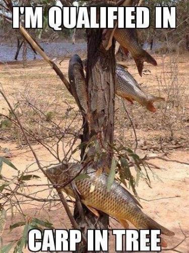 12:59:36 GMT-0500 (EST)