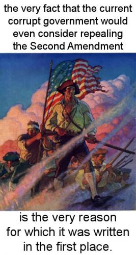 repealing the second amendment01