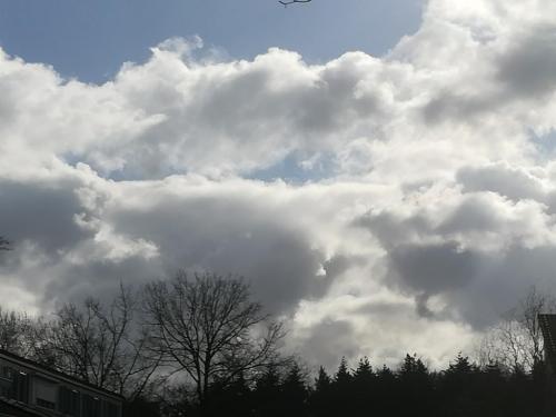 12:28:08 GMT+0100 (CET)