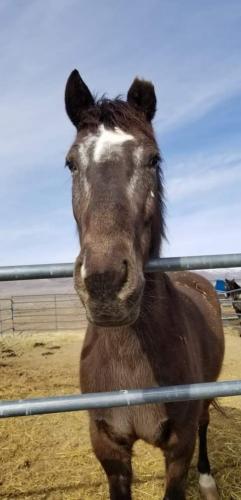 19:56:20 GMT-0800 (PST).image