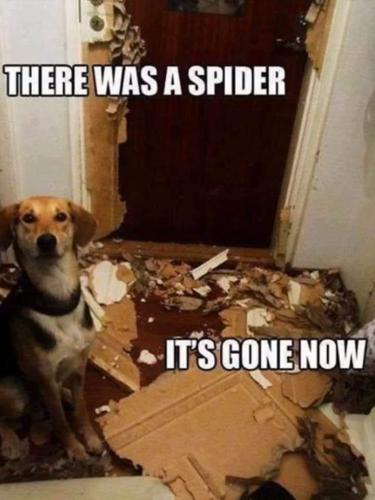 21:33:38 GMT-0800 (PST).image