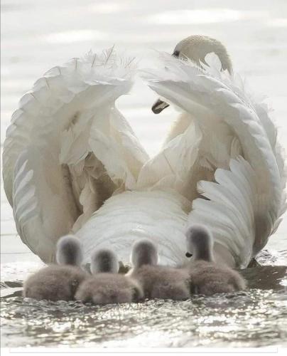 149293210_3853978794678220_8854497949242954398_o