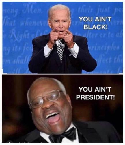 And brainwashed people voted for this racist pedophile china asshole joe