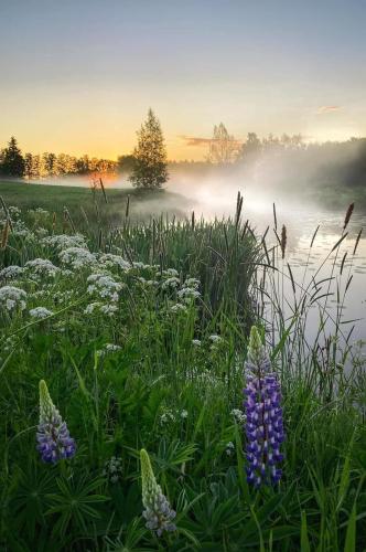 151177881_1516269438572401_1651605080596513958_o