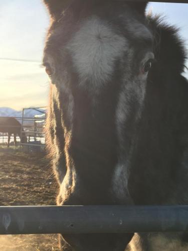 07:41:04 GMT-0800 (PST).image