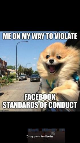 20:35:15 GMT-0800 (PST)