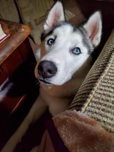 11:18:17 GMT-0500 (EST)