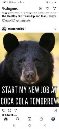 22:48:33 GMT-0600 (CST)