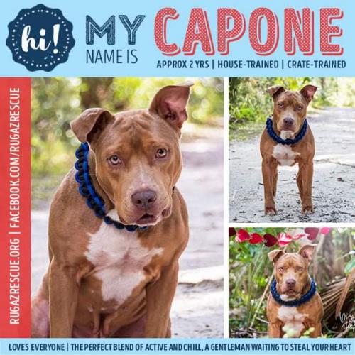 20:15:07 GMT-0500 (EST).image