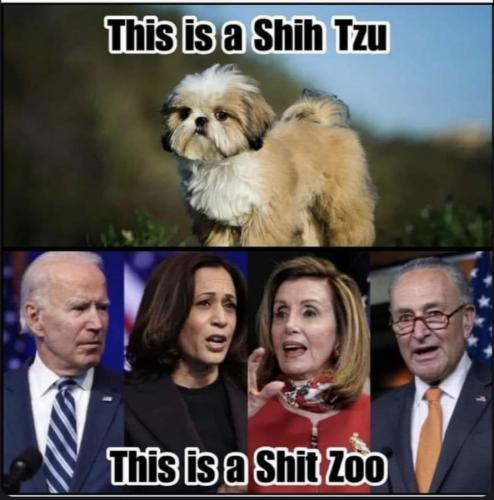 22:47:13 GMT-0800 (PST).image