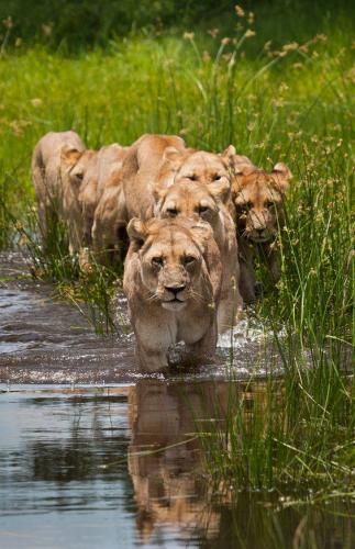 12990965_10204517673462018_8203776559340567511_n