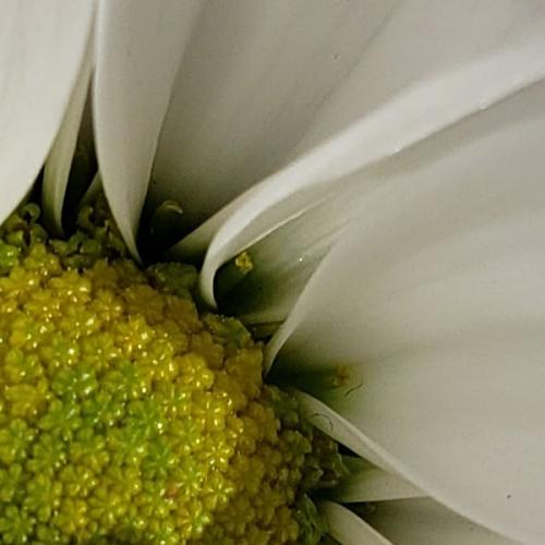 10:55:17 GMT-0500 (EST)