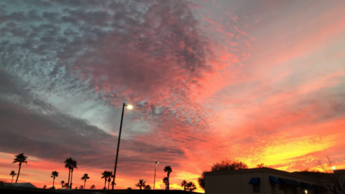 Screenshot 2021-02-03 at 6.35.47 PM