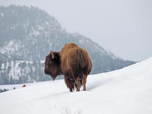 154879548_1522377397961605_4508291669245470438_o