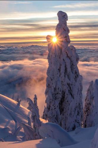 22:03:49 GMT-0600 (CST)