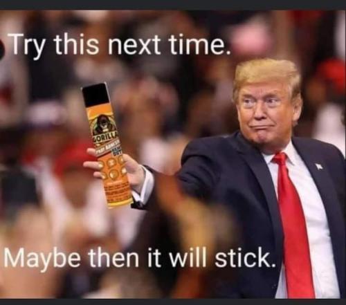 149070499_10214261033678959_6670175115122372592_n