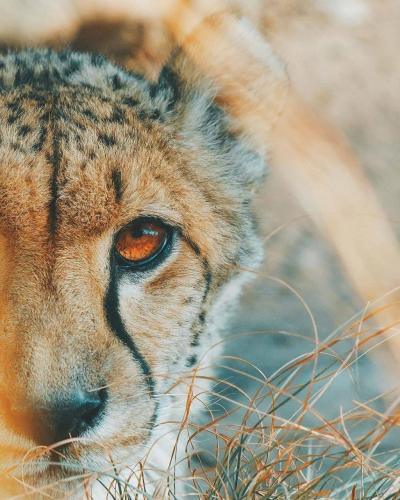 146478727_113076717420366_1806423777426002081_o