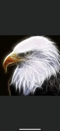 04:26:10 GMT-0600 (CST).image