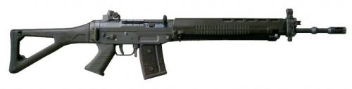 gun sig 550