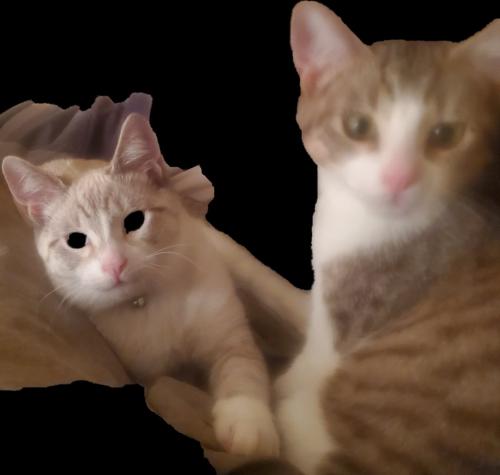 04:08:52 GMT-0800 (PST)