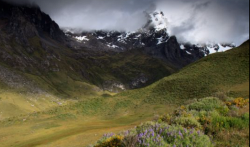 Screenshot 2021-02-09 at 6.36.37 AM