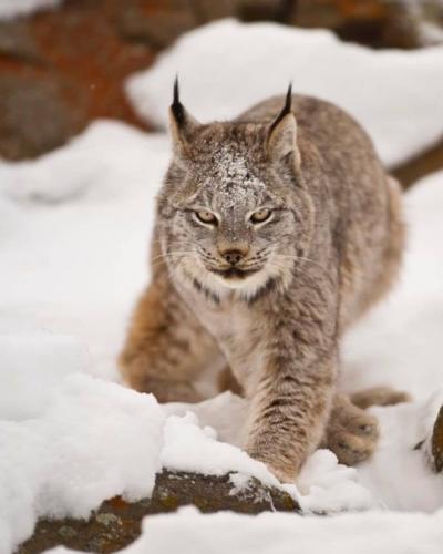 tumblr_79ca2ee3160ee4dca7051c88966806f5_cbbf8cef_540