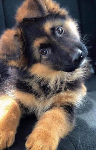 13:43:51 GMT-0600 (CST)