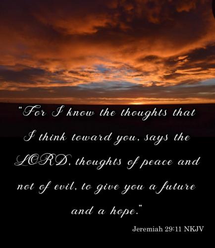 777E92DF-F815-4EC4-AB40-E19C86B52E19-32231-00001C9D8BF4D2B3