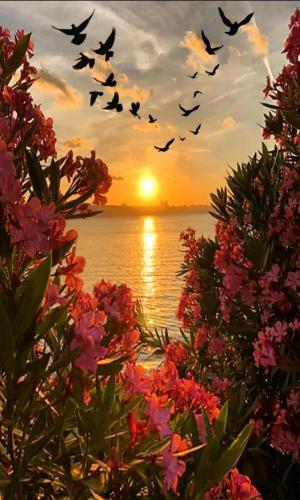 22:39:39 GMT-0600 (CST)