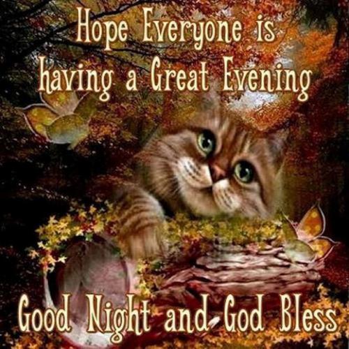 9529662cd681e1d3451622d2f4cb262a