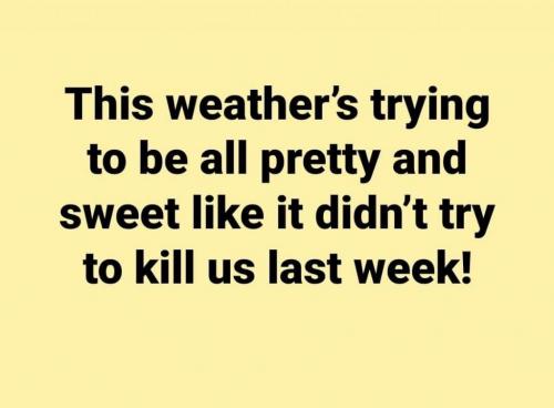 15:15:18 GMT-0600 (CST).image