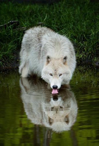 146999098_1511036802428998_8368531693744537726_o