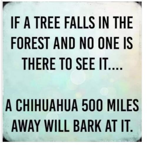 05:15:43 GMT-0600 (CST).image