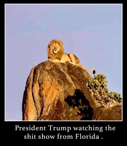 21:41:43 GMT-0700 (MST).image