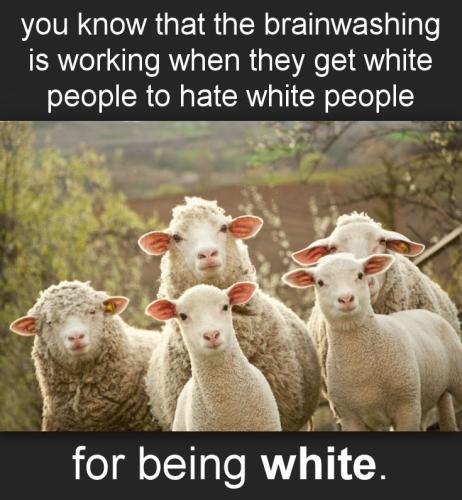 brainwashing00