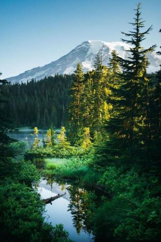 tumblr_e406848eba3bcc7494d5f18513548d9a_a2f47635_540