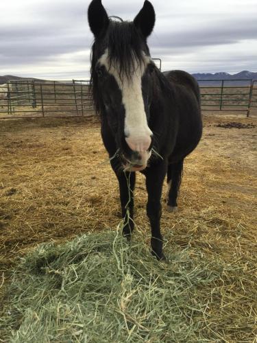 09:03:00 GMT-0800 (PST).image