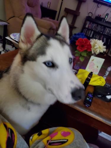 10:30:16 GMT-0500 (EST)