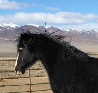 14:44:31 GMT-0800 (PST).image