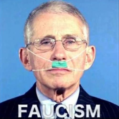 fauci17